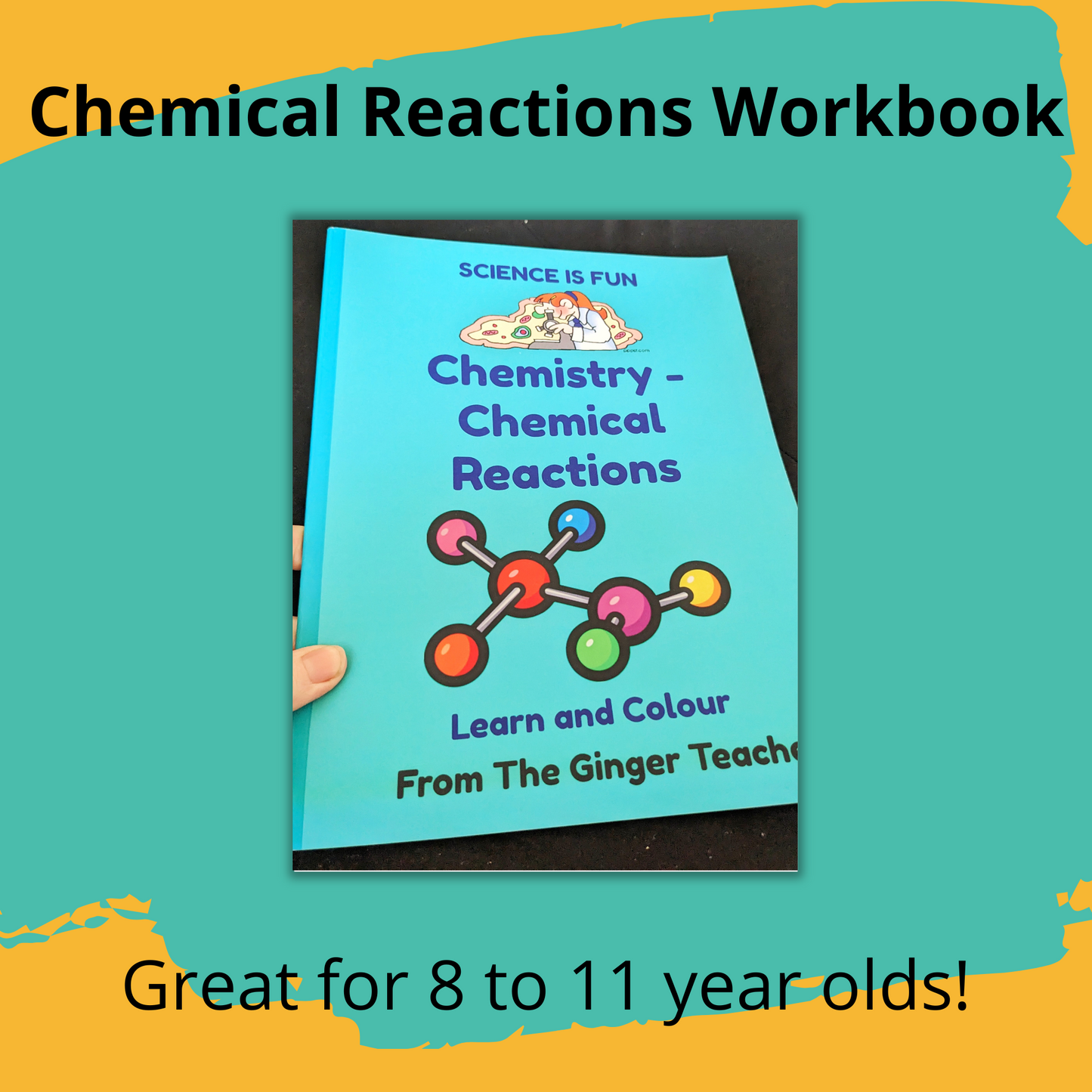 Chemical Reactions Science Workbook