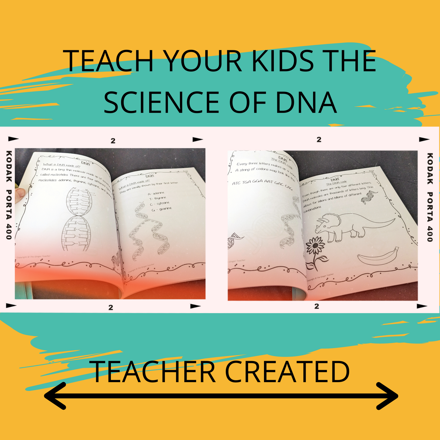 Science is Fun – Learn and Colour: Biology - DNA