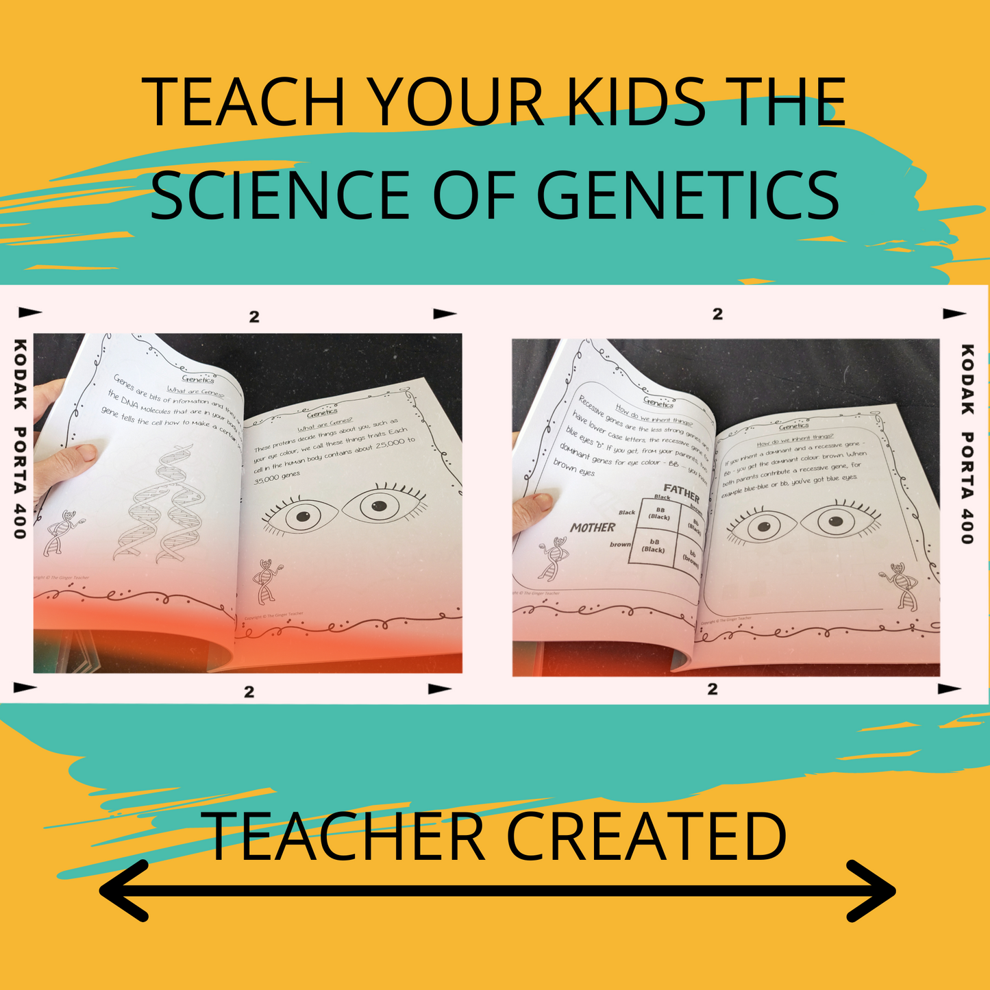 Genetics Science Workbook