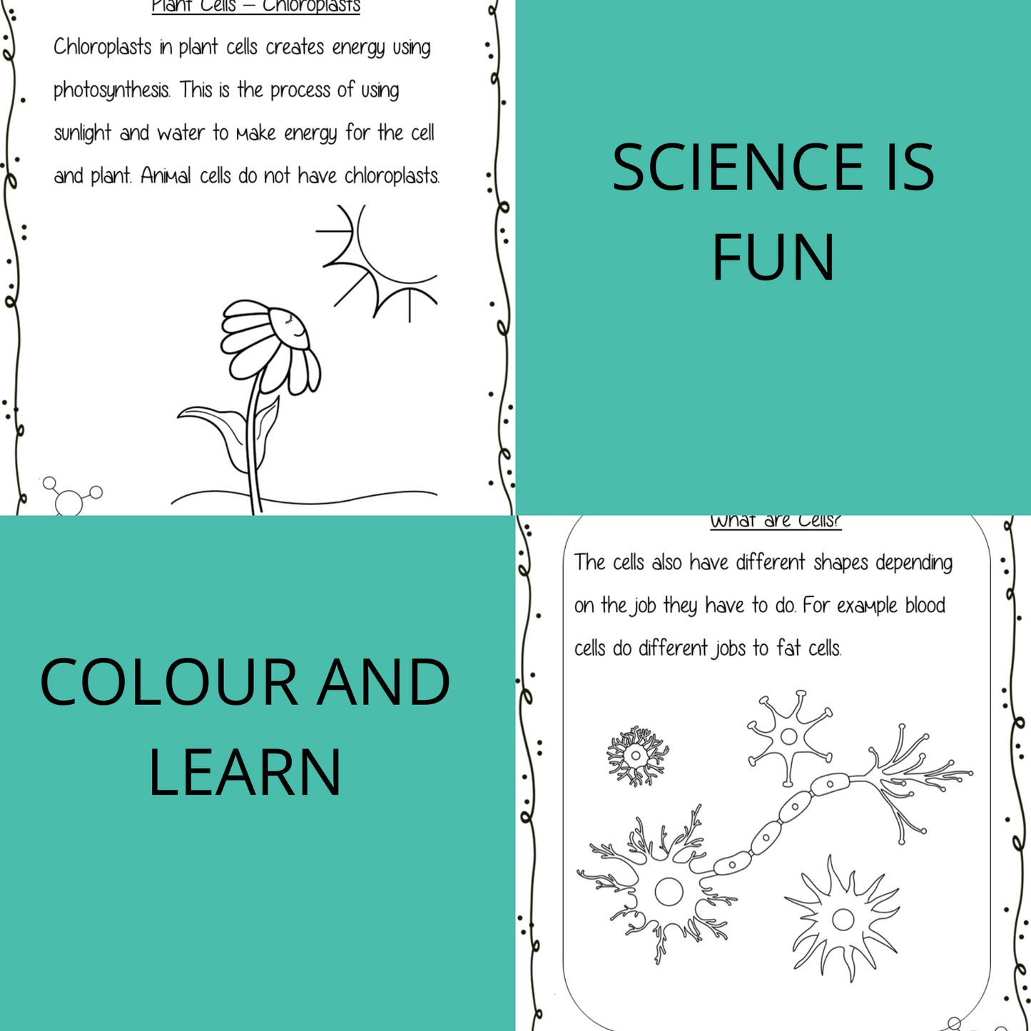 Science is Fun – Learn and Colour: Biology - Cells