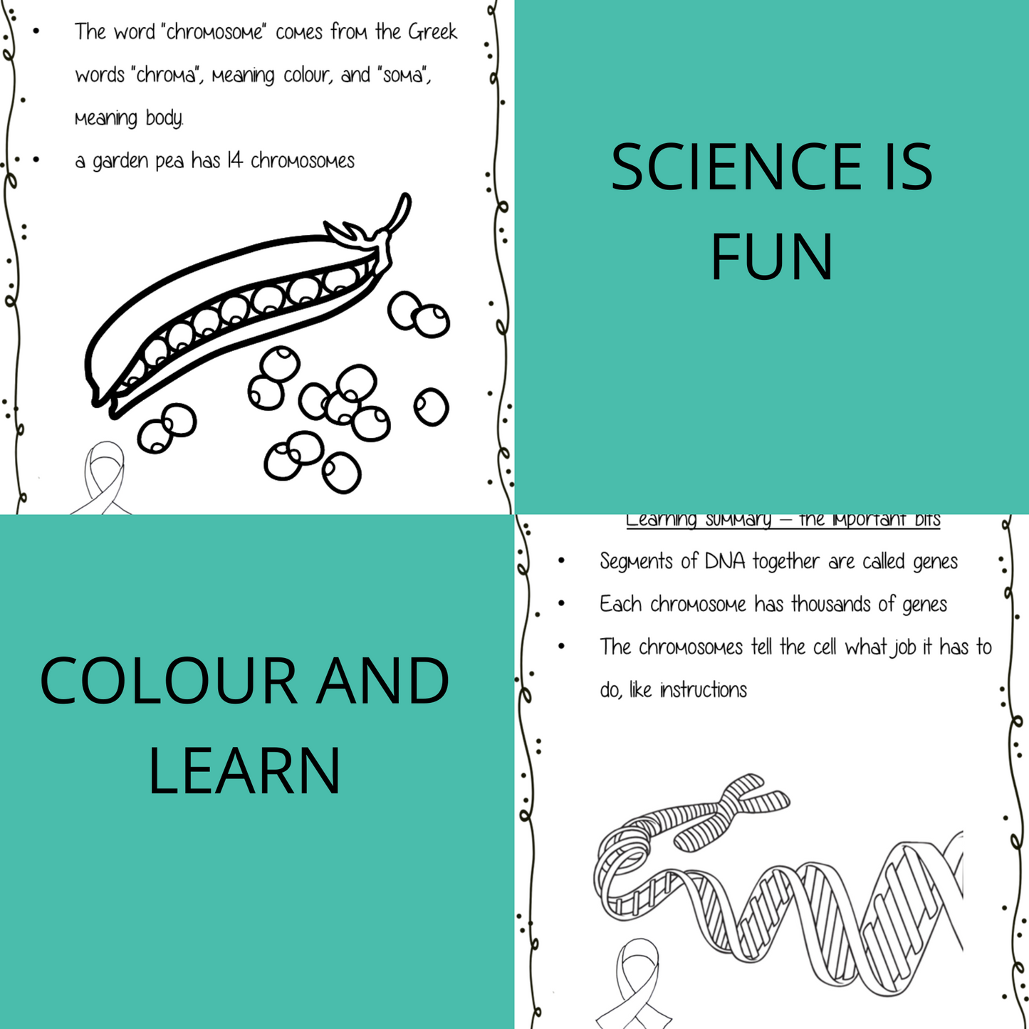Genetics Science Workbook