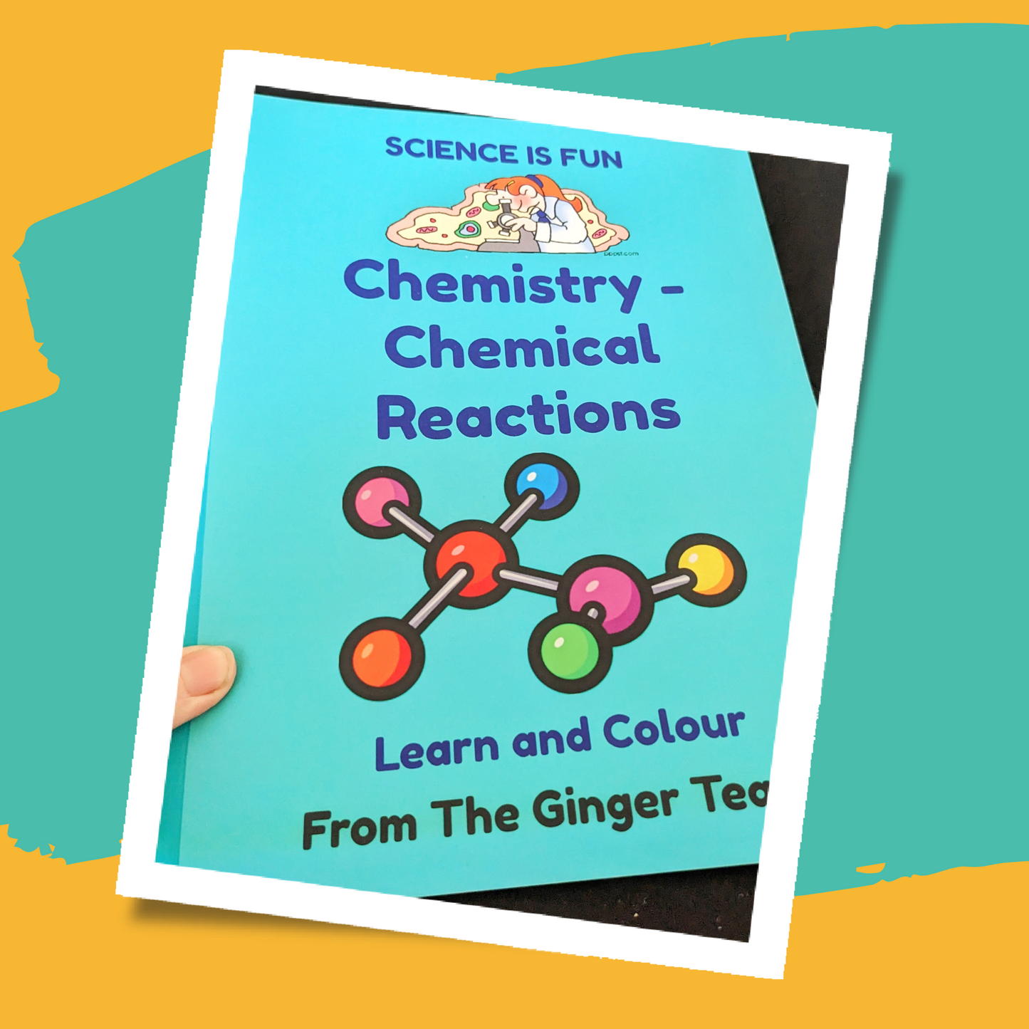 Chemical Reactions Science Workbook