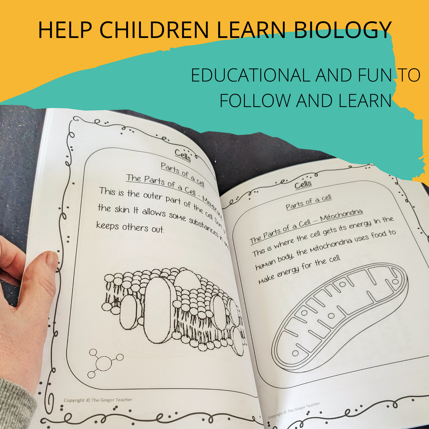 Science is Fun – Learn and Colour: Biology - Cells