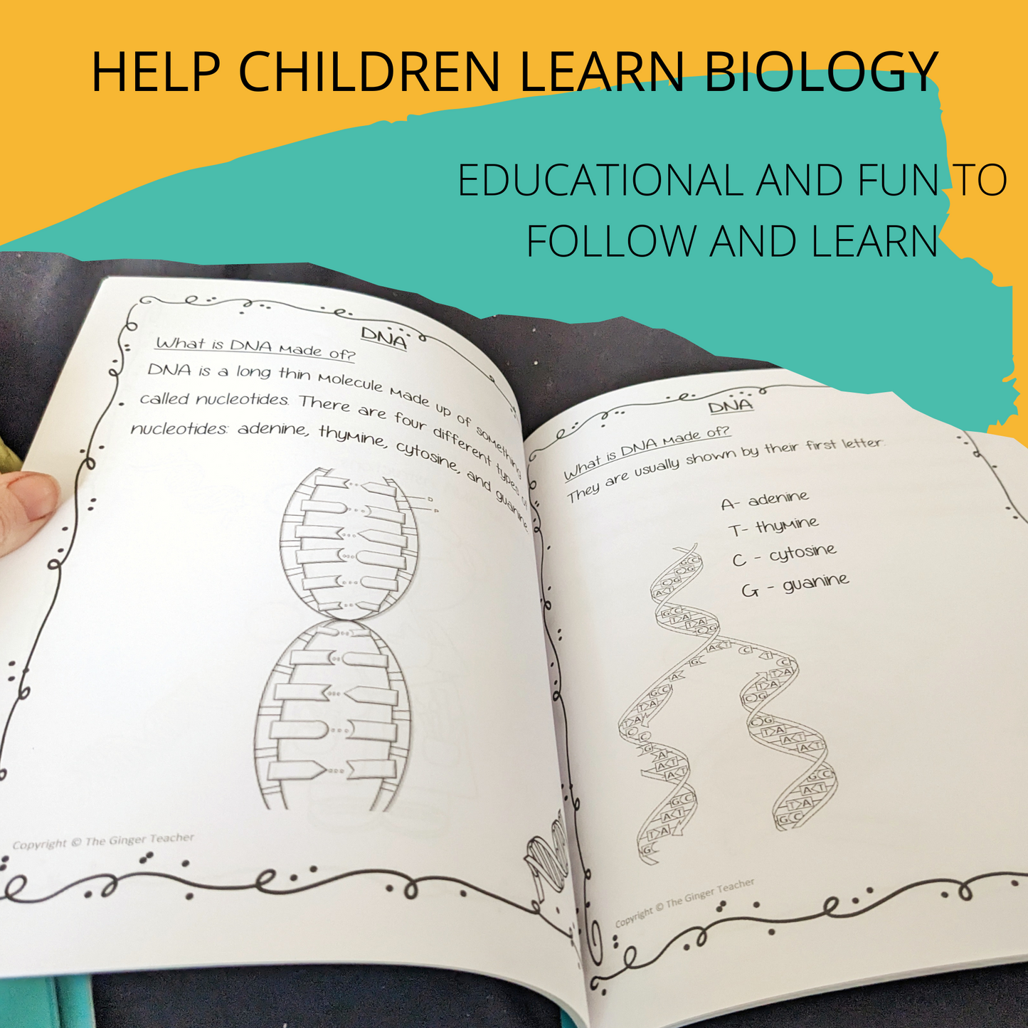 Science is Fun – Learn and Colour: Biology - DNA