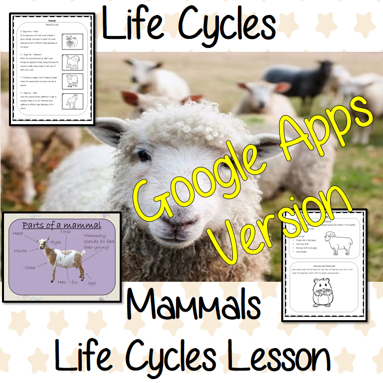 Distance Learning Mammals Life Cycles Google Slides Lesson This is the Google Slides version of this lesson! This is a complete lesson on Mammal life cycles.