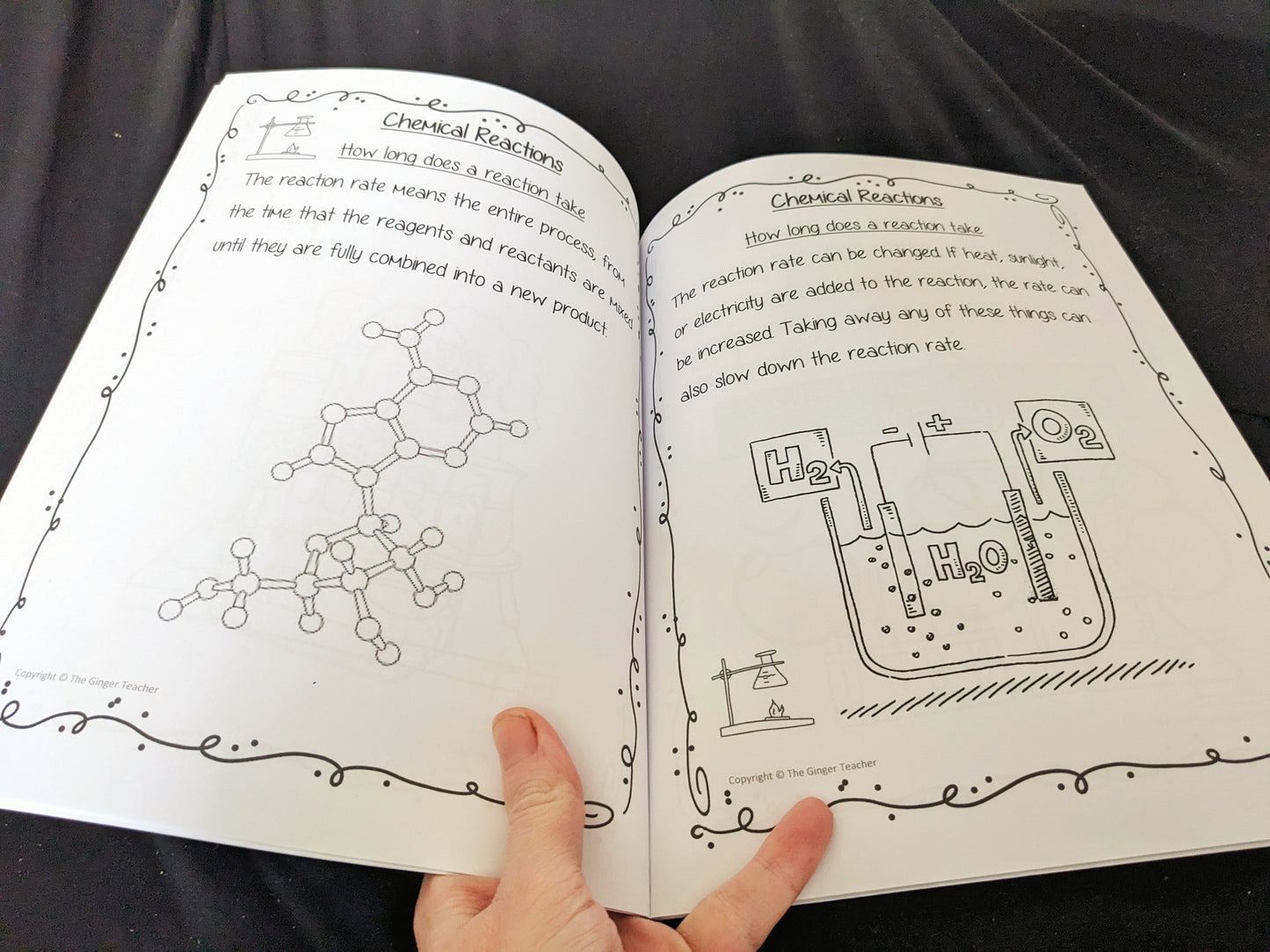 Chemical Reactions Science Workbook