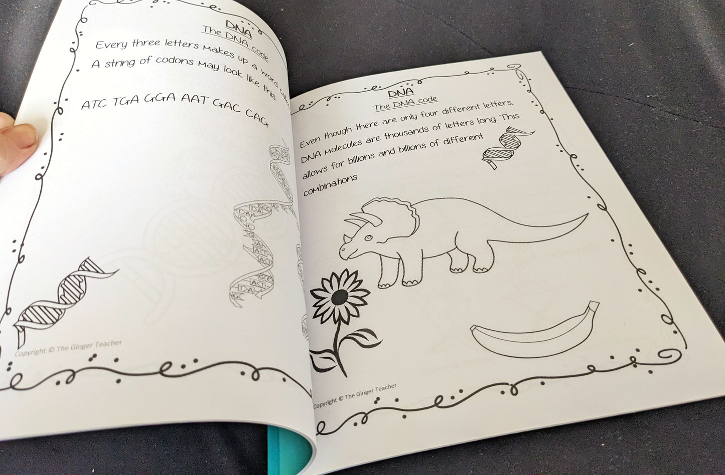 Science is Fun – Learn and Colour: Biology - DNA