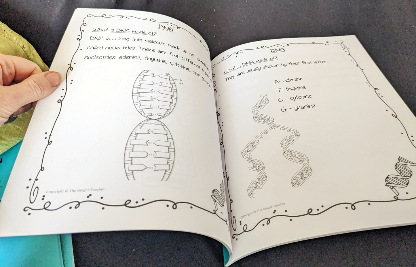 Science is Fun – Learn and Colour: Biology - DNA