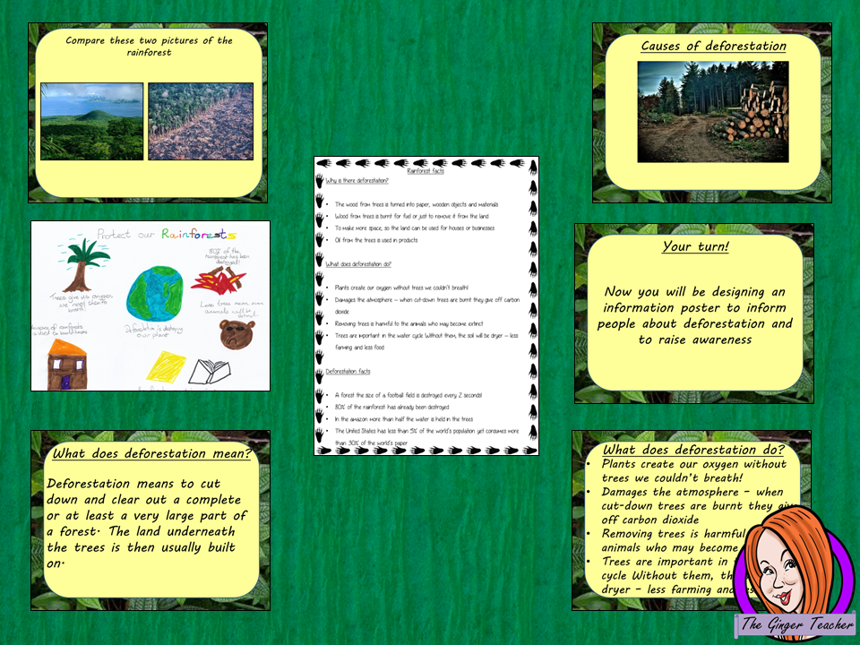 Rainforest Deforestation Complete Lesson on the effects of Deforestation of the Rain forest. Rainforest lesson for kids. There is a detailed PowerPoint to explain deforestation and effects on the rainforest animals and plants. Lots of facts about the rainforests of the world. The children complete a poster to inform and raise awareness about deforestation. Learn about the rainforest destruction rainforest activities for grade #rainforest #rainforestdeforestation #rainforestforkids