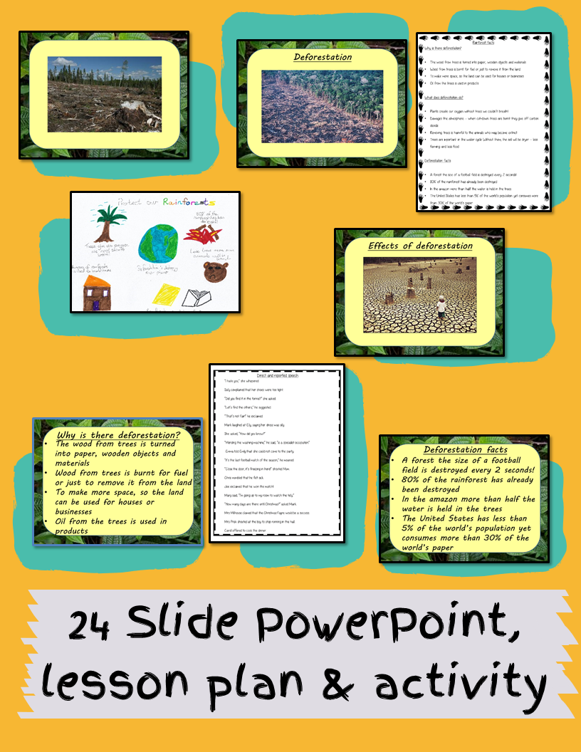 deforestation-tropical-rainforest-lesson
