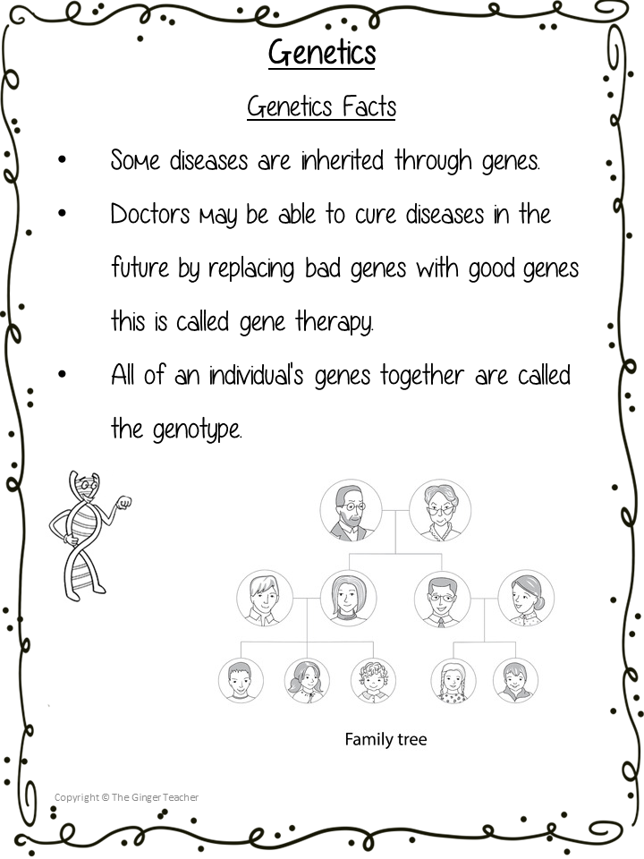 Genetics Science Workbook