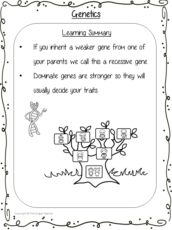 Genetics Science Workbook