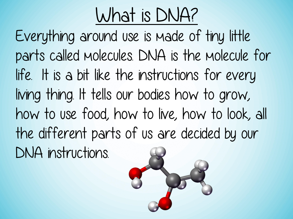 DNA Science Lesson