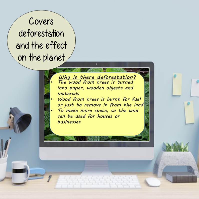 amazon-rainforest-deforestation-lesson-plan