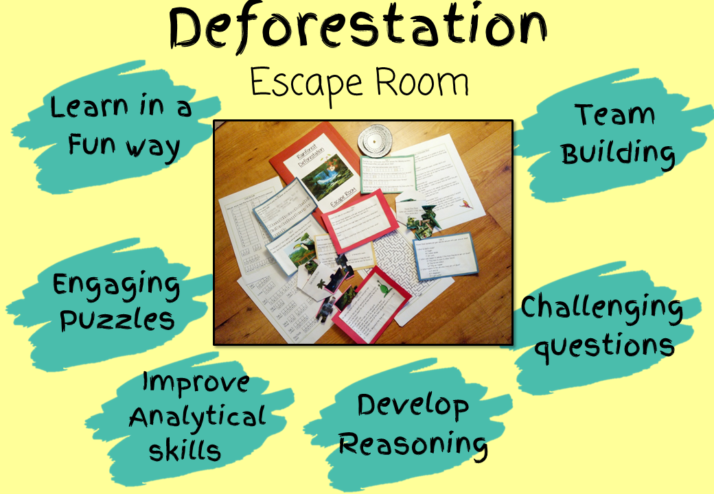 rainforest-being-destroyed