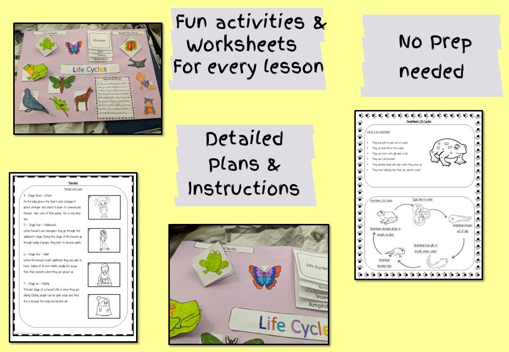animal-life-cycles-powerpoint