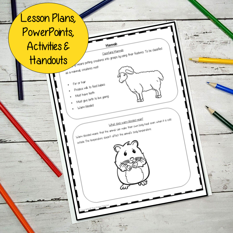 animal-life-cycles-activities