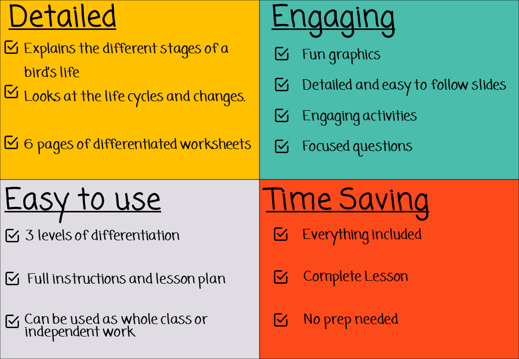 bird-life-cycle-activities
