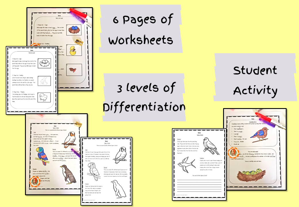 life-cycle-of-birds-ppt