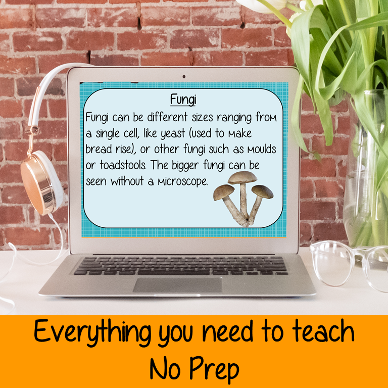 classification-of-living-things-ppt