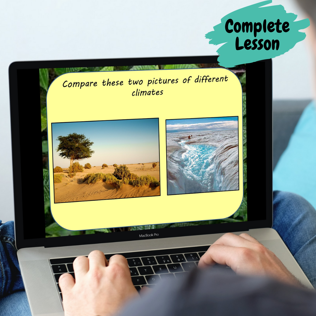rainforest-lessons-ks2