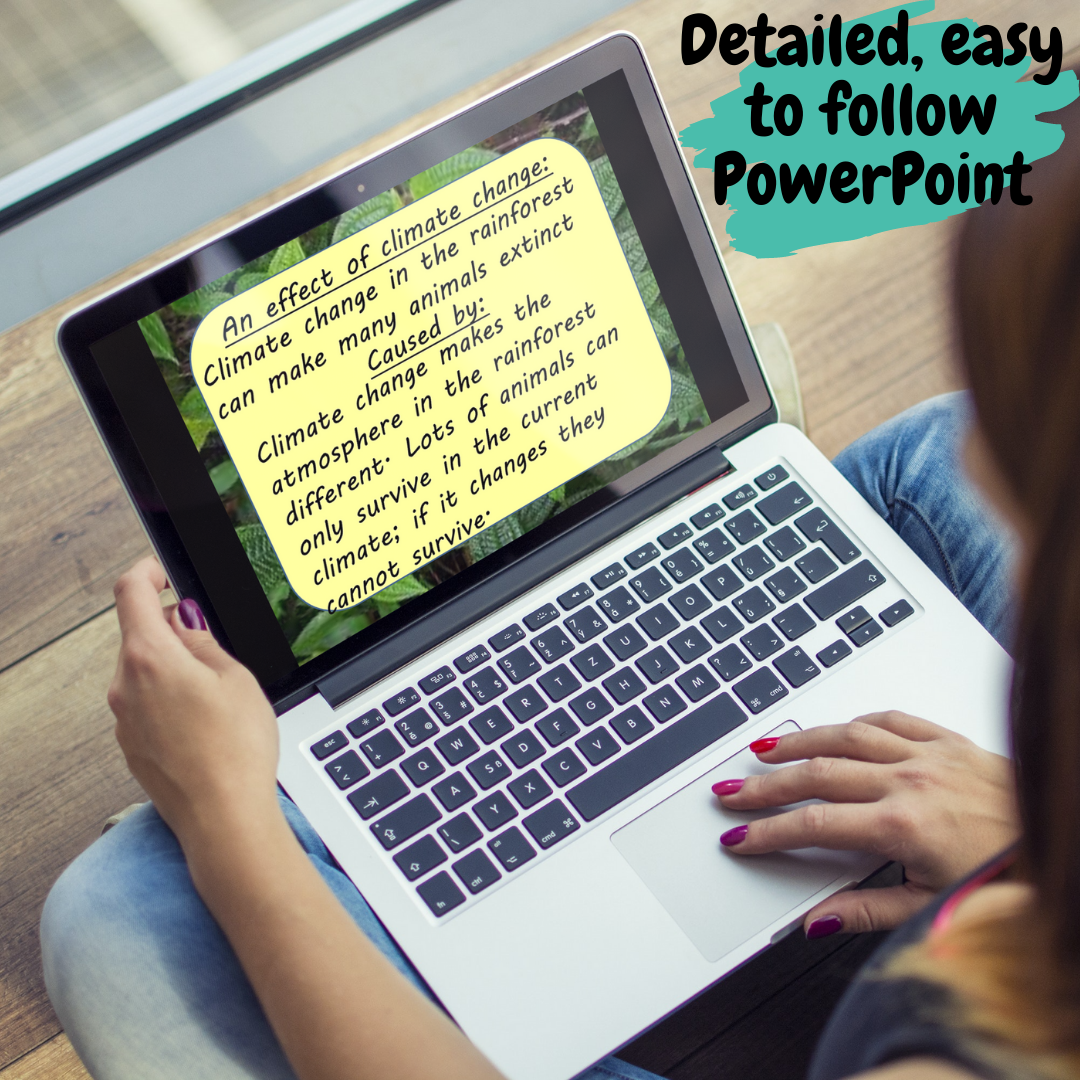 tropical-rainforest-lesson