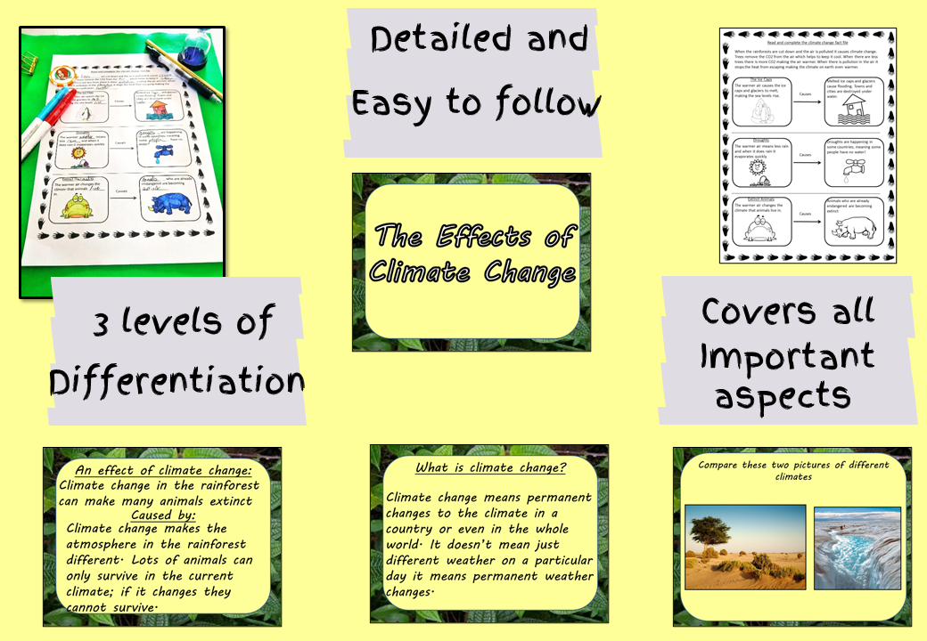 rainforest-lesson-plans-for-3rd-grade