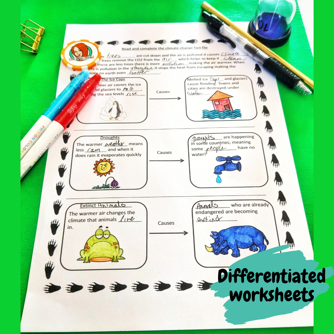 rainforest-lesson-plans-ks2