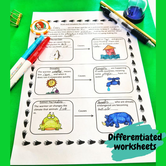 rainforest-lesson-plans-ks2