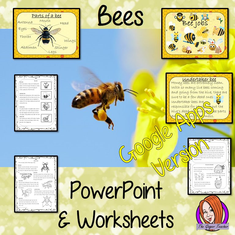 Distance Learning Bees Google Slides Lesson This pack teaches children about bees in one complete lesson. There is a detailed 57 Google Slide presentation on where bees live, fun bee facts, details about how they make honey, information about the different jobs they do, a look at the different types of bees and a brief look at the parts of a bee. There are also differentiated, 8 page, Google Slides, bees worksheets to allow students to demonstrate their understanding. This pack is great for teaching kids a