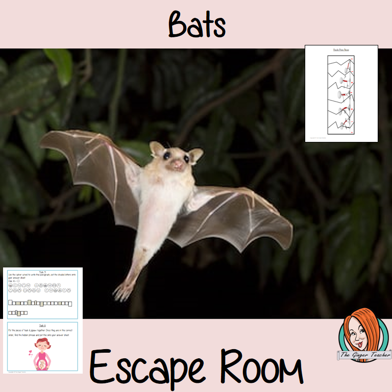 Bats Escape Room Game Try this escape room style game with your students today! This is a fun game that is perfect for teaching children about Bats. This game focuses on students finding out facts and information and using these to solve puzzles. This helps them to learn. This activity is great for the beginning of a topic to introduce information or at the end to recap. Students are trying to help an alien understand Bats and they must solve a series of clues, as well as decode different cipher