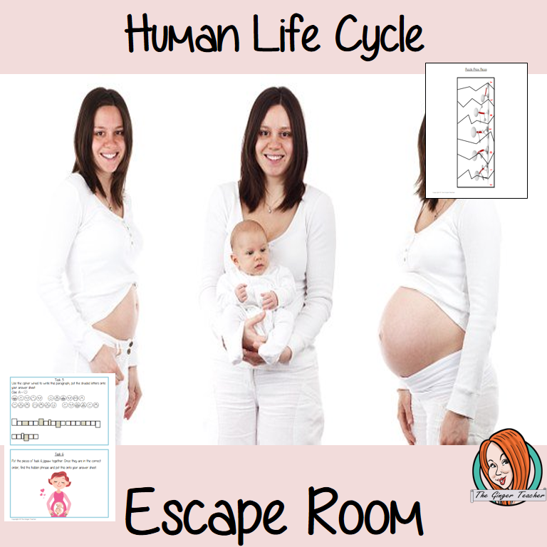 Human Life Cycle Escape Room Game Try this escape room style game with your students today! This is a fun game that is perfect for teaching children about Human Life Cycle. This game focuses on students finding out facts and information and using these to solve puzzles. This helps them to learn. This activity is great for the beginning of a topic to introduce information or at the end to recap. Students are trying to help an alien understand Human Life Cycle and they must solve a series of clues