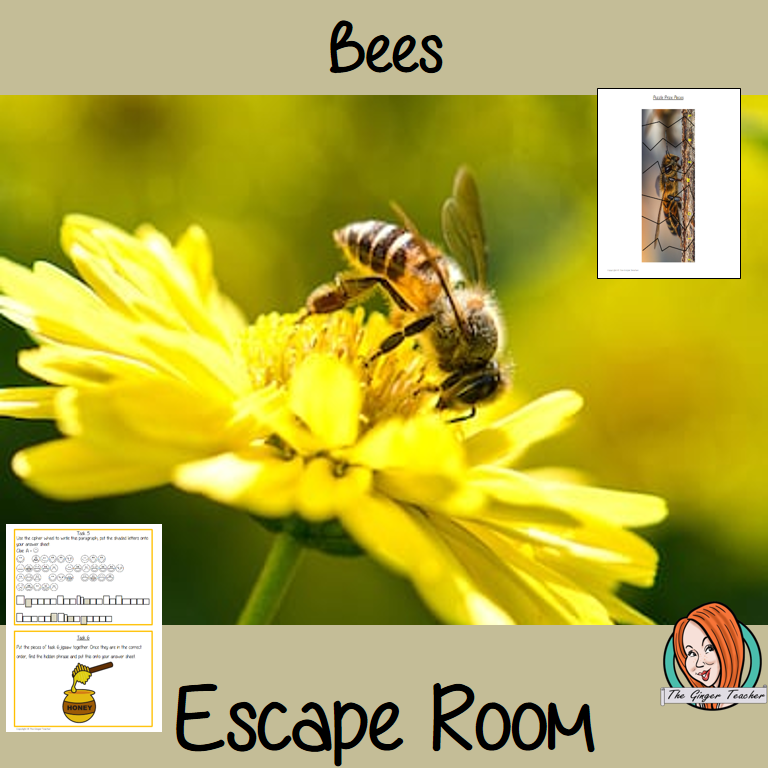 Bees Escape Room Game Try this escape room style game with your students today! This is a fun game that is perfect for teaching children about Bees. This game focuses on students finding out facts and information and using these to solve puzzles. This helps them to learn. This activity is great for the beginning of a topic to introduce information or at the end to recap. Students are trying to help an alien understand Bees and they must solve a series of clues, as well as decode different cipher