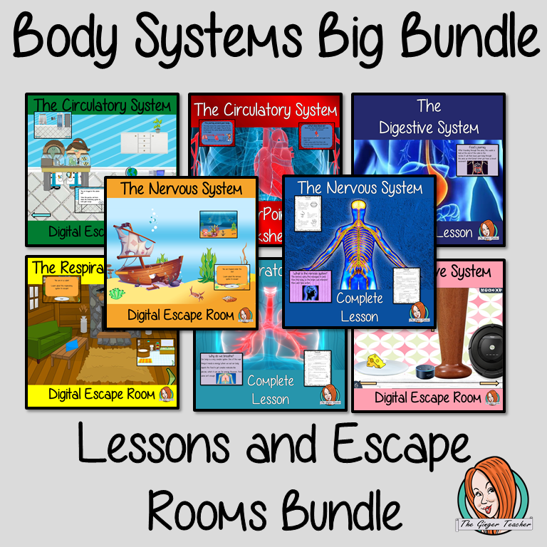 body-systems