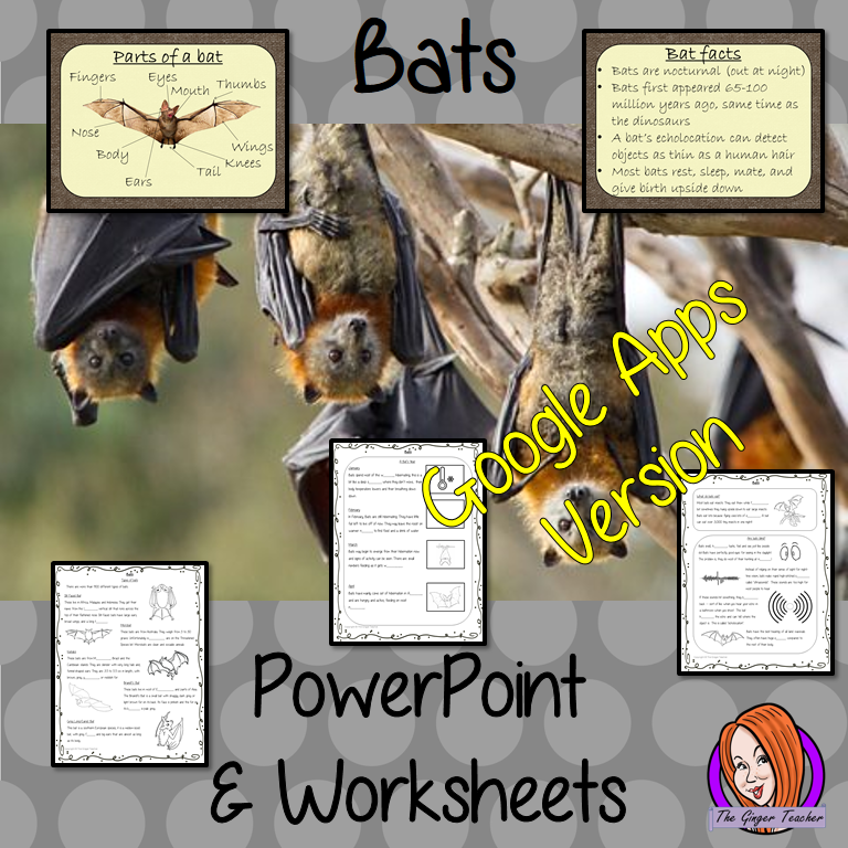 Distance Learning Bats Google Slides Lesson This download teaches children about bats in one complete lesson. There is a detailed 56 slide presentation on where bats live, cute bat facts, details about how they spend their year, information about how they eat, a look at the different types of bats and a brief look at the parts of a bat. There are also differentiated, 8 page, Google slides, bats worksheets to allow students to demonstrate their understanding. This pack is great for teaching kids all about b