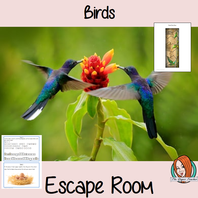 Birds Escape Room Game Try this escape room style game with your students today! This is a fun game that is perfect for teaching children about Birds. This game focuses on students finding out facts and information and using these to solve puzzles. This helps them to learn. This activity is great for the beginning of a topic to introduce information or at the end to recap. Students are trying to help an alien understand Bees and they must solve a series of clues, as well as decode different ciph