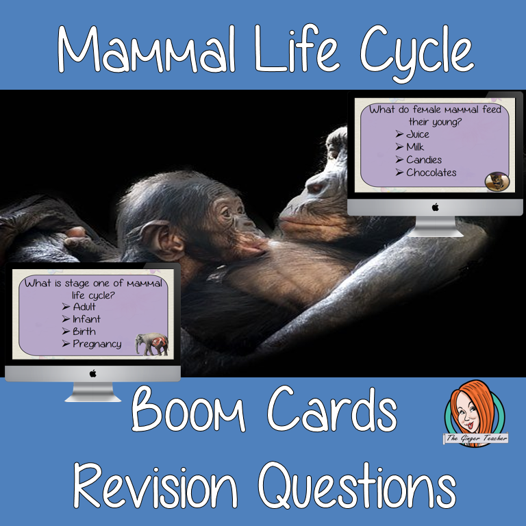 Mammal Life Cycle Revision Questions This deck revises children’s knowledge of Mammal Life Cycle. There are multiple choice revision questions to check children’s understanding. These question cards are self-grading and lots of fun!