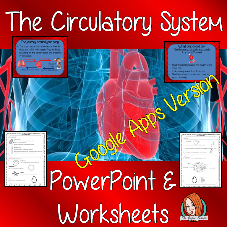 Distance Learning Blood and the Circulatory System Google Slides Lesson This download includes a detailed 47 slide presentation explaining the blood in the human body. It covers the important roles blood plays in the human body; the elements of blood; the journey blood takes around the body and also what happens when the skin is broken and people bleed. This is the Google Slides version of this lesson! The children also can complete circulatory system activity sheets to consolidate the knowledge