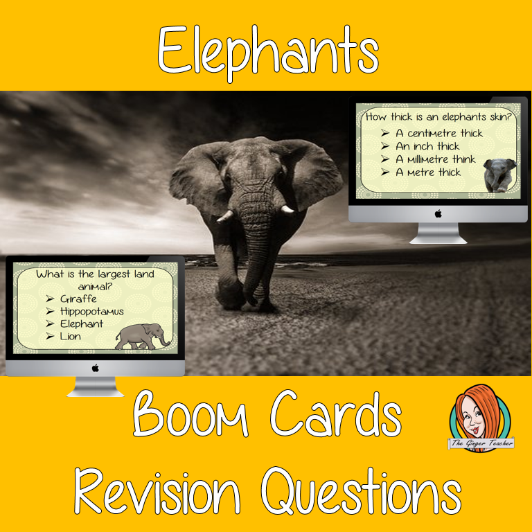 Elephants Revision Questions This deck revises children’s knowledge of Elephants. There are multiple choice revision questions to check children’s understanding. These question cards are self-grading and lots of fun!