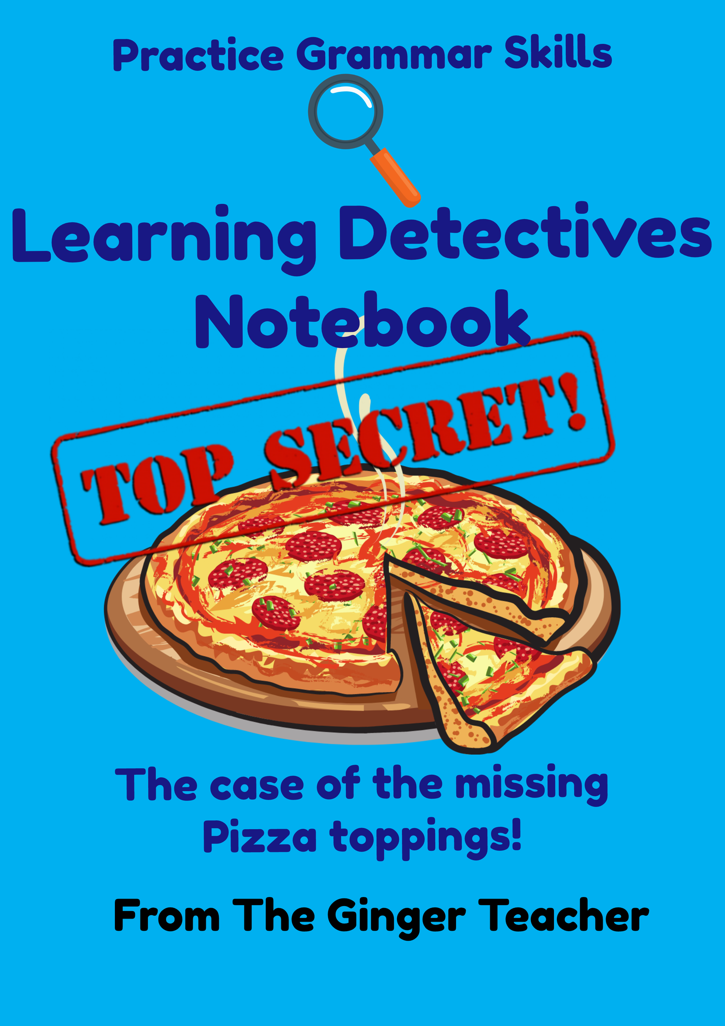 Grammar Practice Fun Book