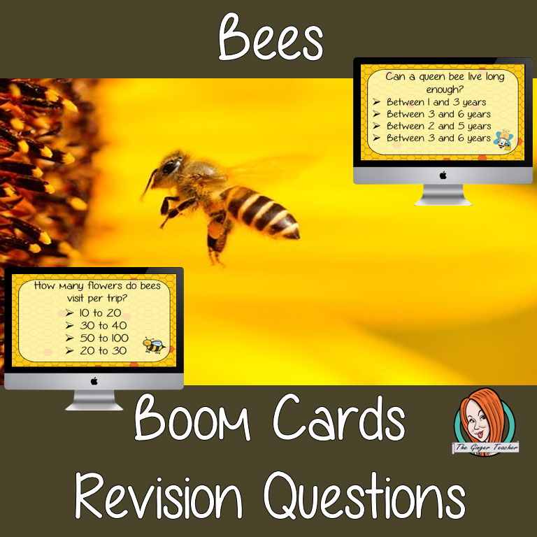 Bees Revision Questions This deck revises children’s knowledge of Bees. There are multiple choice revision questions to check children’s understanding. These question cards are self-grading and lots of fun!