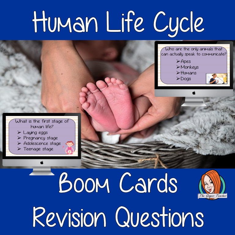 Human Life Cycle Revision Questions This deck revises children’s knowledge of Human Life Cycle. There are multiple choice revision questions to check children’s understanding. These question cards are self-grading and lots of fun!