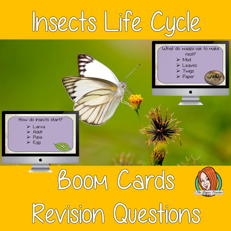 Insect Life Cycle Revision Questions This deck revises children’s knowledge of Insect Life Cycle. There are multiple choice revision questions to check children’s understanding. These question cards are self-grading and lots of fun!