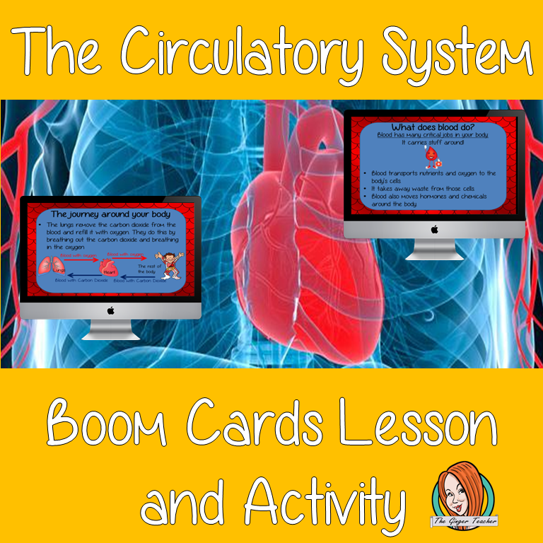 Teach children about the circulatory system! This lesson teaches children about how blood is used within our bodies. The lesson is split into learning and then exercises to demonstrate learning. There are 66 cards split into five sections, each section contains learning cards followed by interactive questions - multiple choice, open answers and drag and drop diagrams.