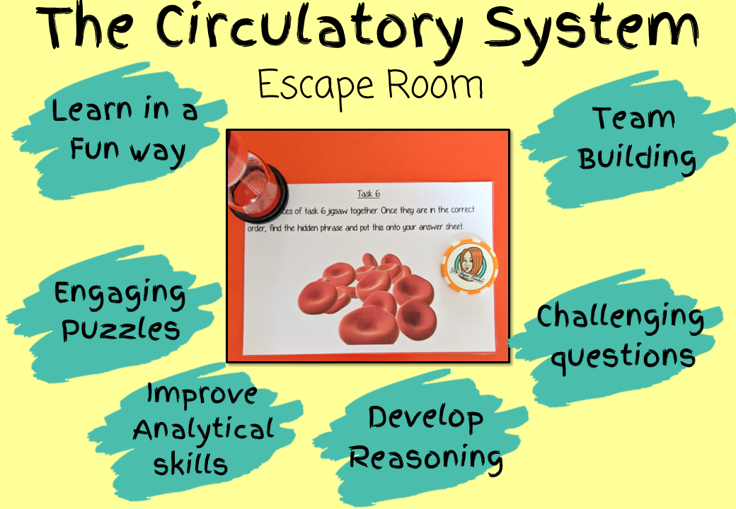 the-circulatory-system-worksheet