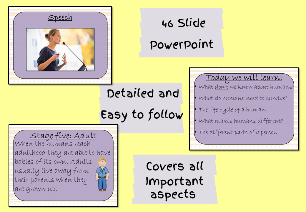 teaching-human-life-cycle