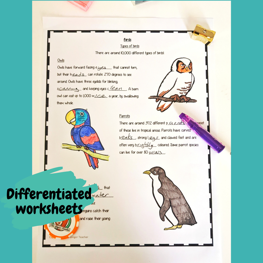 life-cycle-of-a-bird-facts