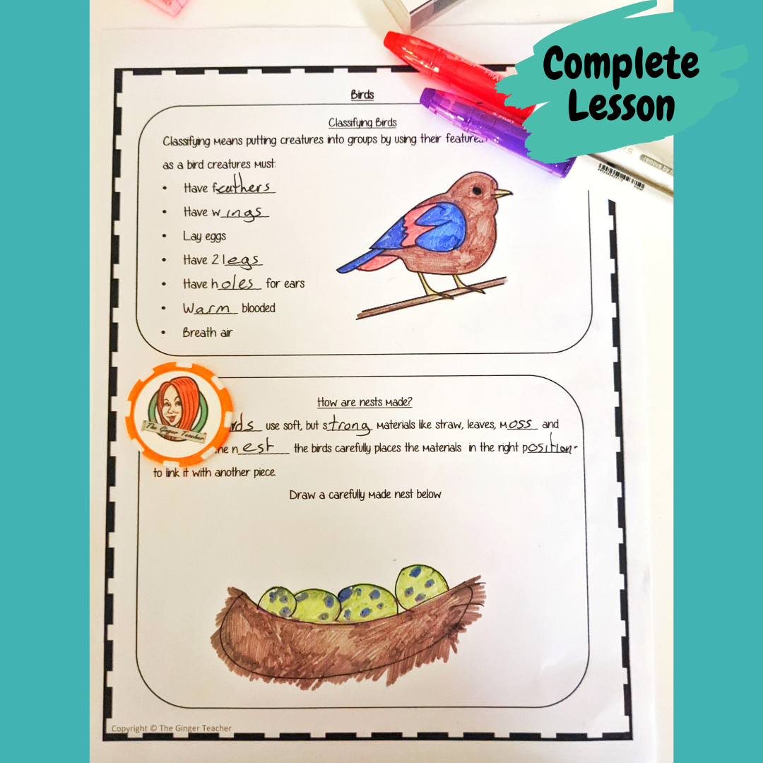 life-cycle-of-a-bird-video