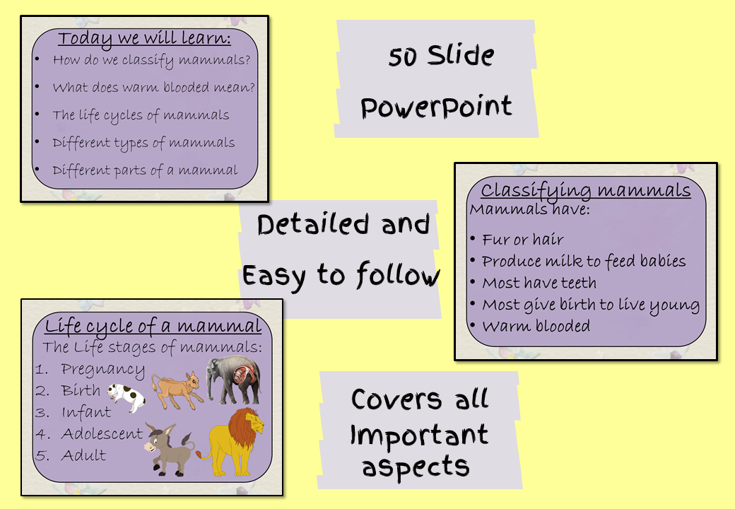 life-cycles-of-mammals-ks2