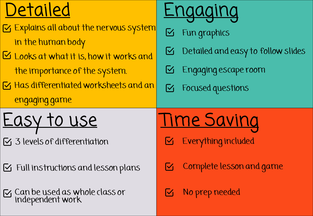 the-nervous-system-activity-sheet